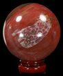 Colorful Petrified Wood Sphere #41946-1